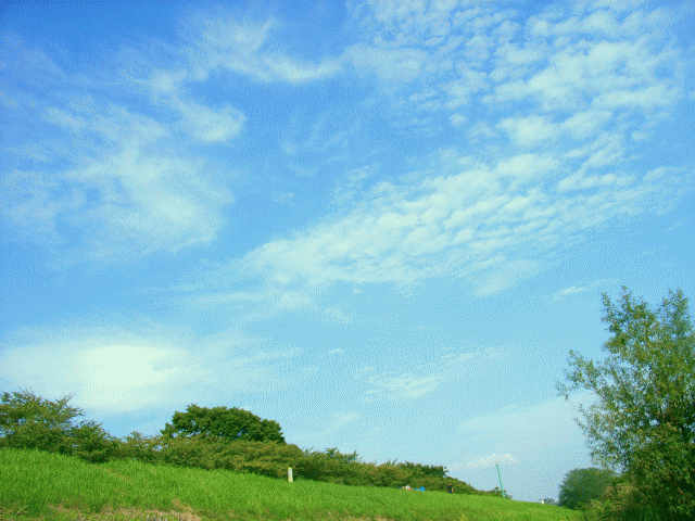 うろこ雲(鱗雲)と、絹積雲(けんせきうん)　秋の空