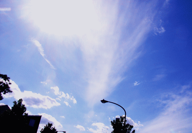 「放射雲」　ある一点から空中へ放射的に広がる雲