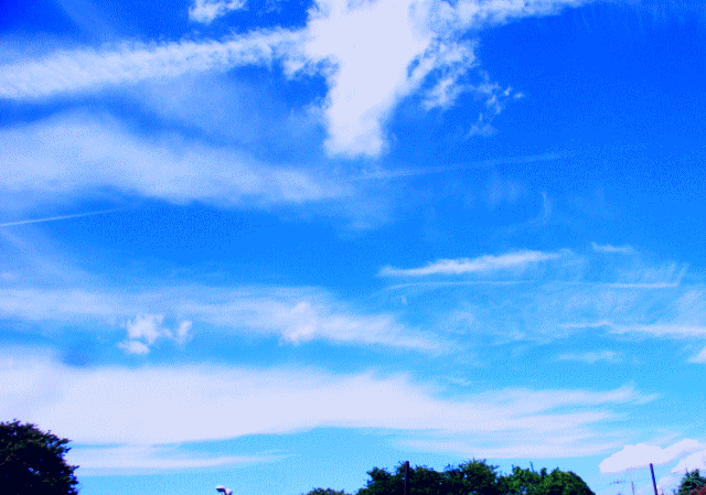 絹の紗のような透明な雲と、飛行機雲