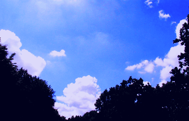 夏雲の典型、入道雲(にゅうどうぐも)