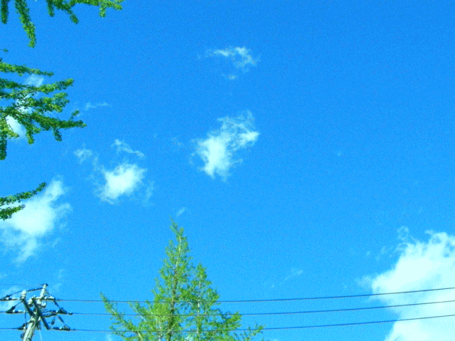 清明のころ。４月の青空と雲
