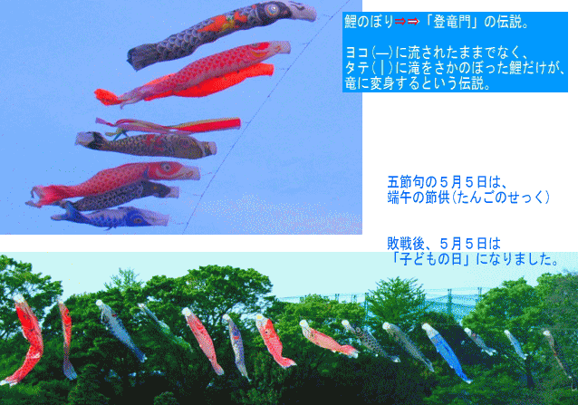 鯉のぼり　斜め45度に並ぶ鯉と、横(―)一列の鯉
