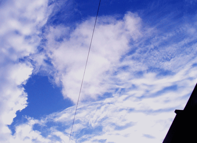 夏と秋のうつろい…入道雲とうろこ雲、絹積雲