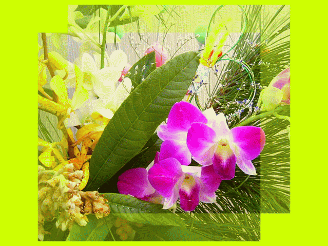 ↑◎ビワ（枇杷）の花と、２種の蘭　アレンジメント　内藤景代