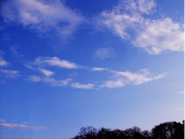 青空に輪をかく白い雲