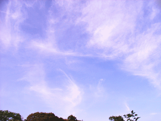 縦(｜)と横(―)に流れる絹雲