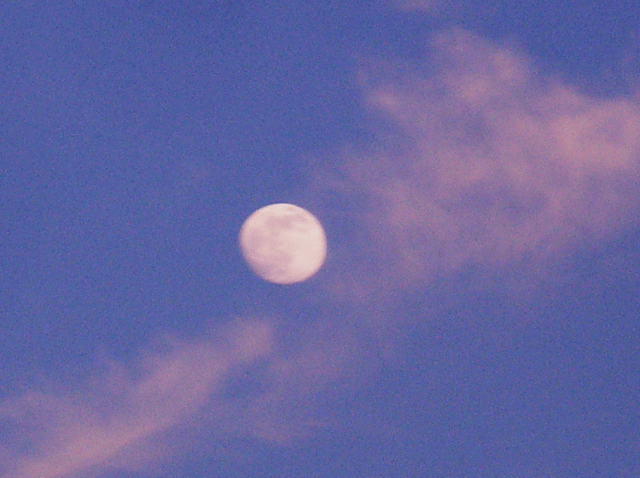 十三夜(じゅうさんや)の月と薄紅色の雲