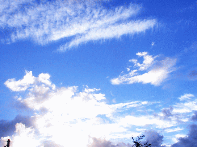 いろいろな雲の〔かたち〕がまじる空