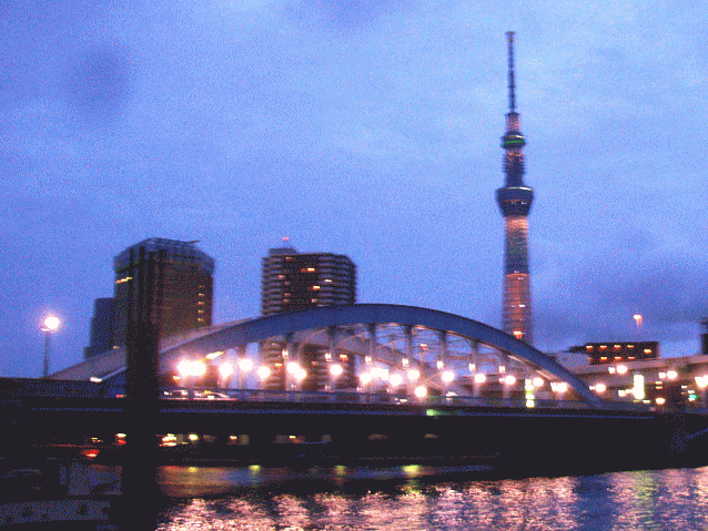 駒形橋と東京スカイツリー　ライトアップ