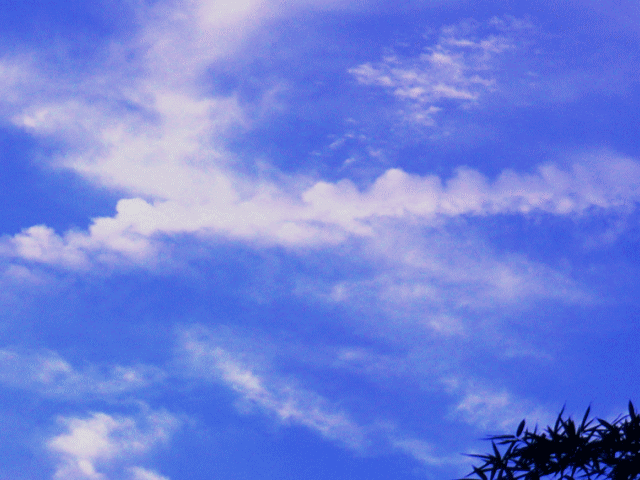 フリンジのような白い雲が青空を区切る
