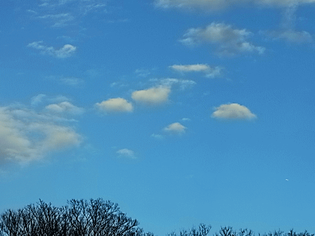 早春の雲  ぽこぽこ雲