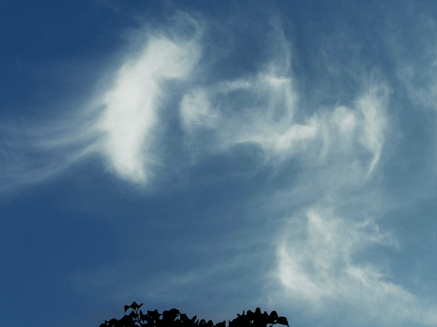 クラゲ（海月､ 水母､ジェリ－フィッシュ）のような白い雲