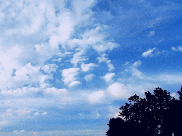 モフモフの白い雲