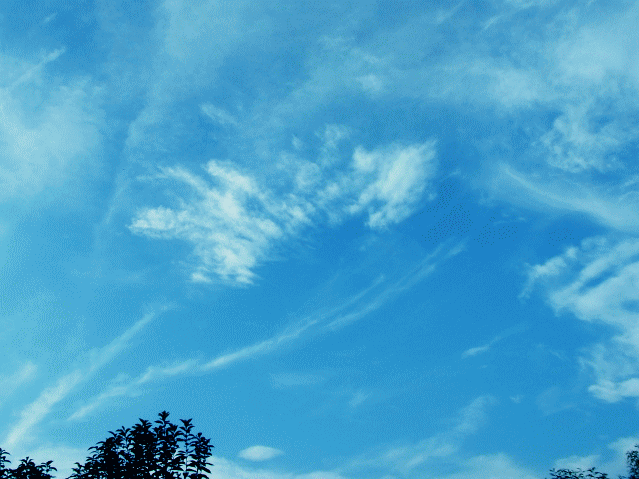 長い雲、丸い雲、かすむ雲…多様な雲たちが対話する空