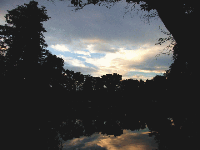 サーモン･ピンクになっていく空をうつす池の夕焼け