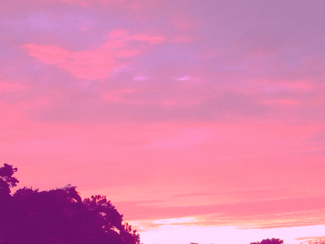 薄いピンクの桜色が一面に空を覆う、夕焼け