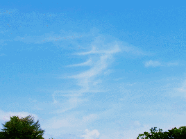 キリン（麒麟）の首のような、白い雲