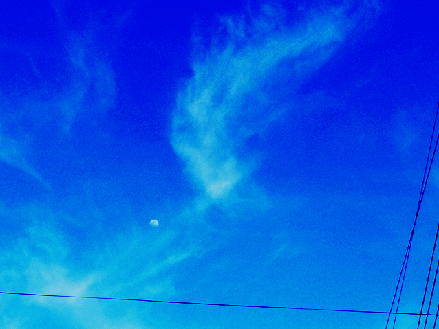 昼の月-1 青空に流れる白い雲