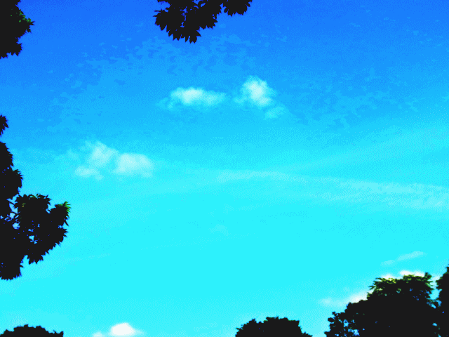 透ける白い雲と青空