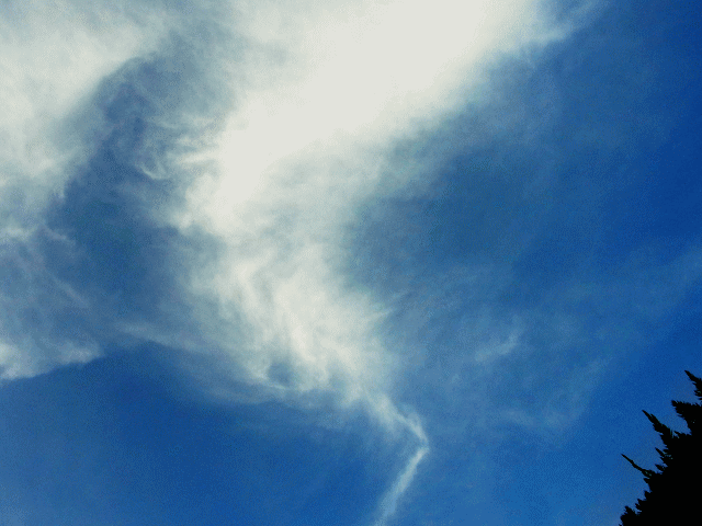 透ける白い雲が立ちのぼる青空