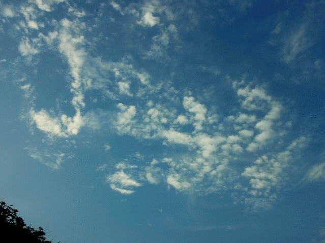 小さな鱗雲（うろこぐも）