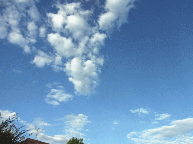 秋空　立ちのぼる鱗雲