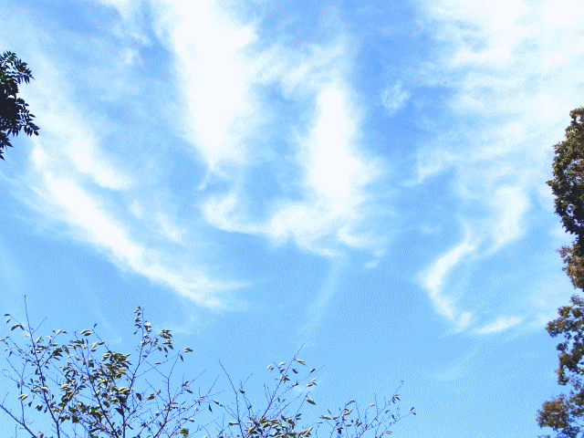 秋空　巻雲（けんうん）  絹雲（けんうん､きぬぐも）