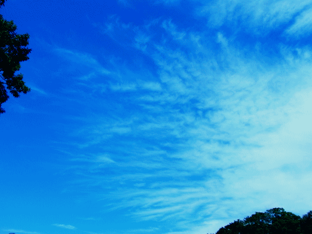 秋空 　細長い絹雲（けんうん､きぬぐも）