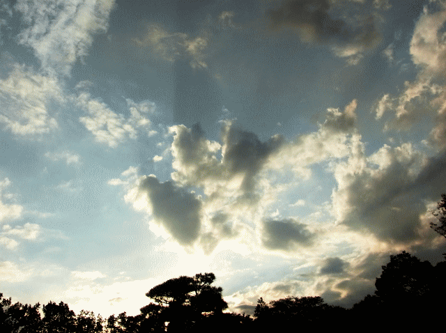 秋雲　鱗雲（うろこぐも）
