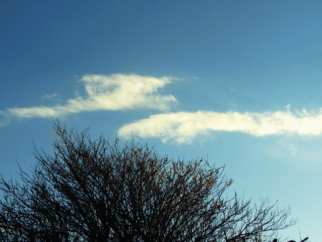 早春の雲