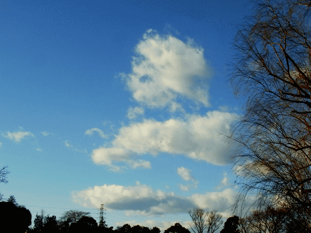 早春の空と雲