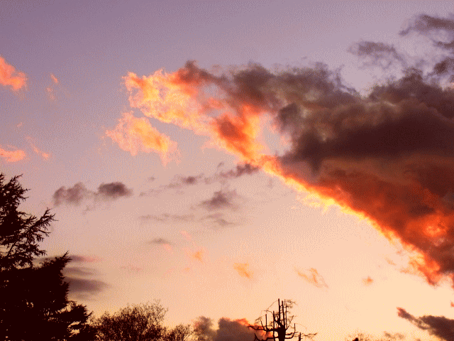 夕焼け雲　　☆早春の空と雲