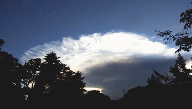 鯤のような大雲  樹木に隠された全貌は…◆秋の雲