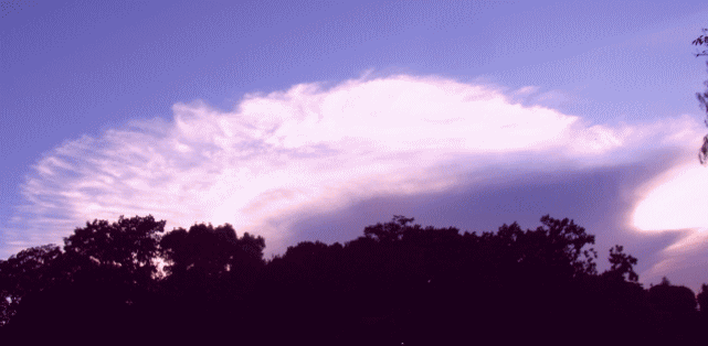 鯤のような大雲　クラゲ（水母）ぽい…◆秋の雲