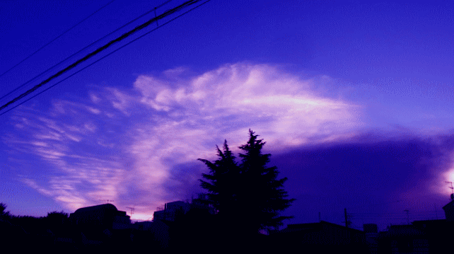 鯤のような大雲　 空に溶けて花…◆秋の雲