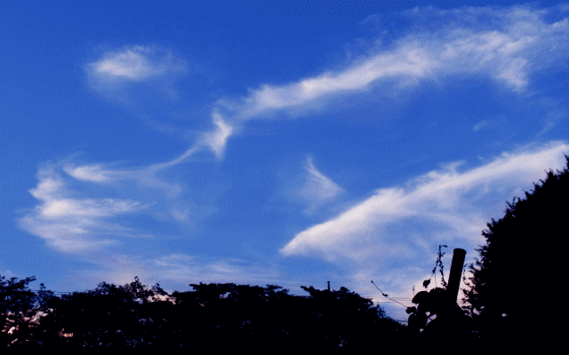 鯤のような大雲-　そばに広がる絹雲◆秋の雲
