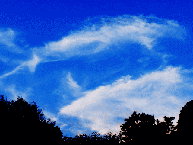鯤のような大雲　 透明な魚が2匹そばに‥◆秋の雲