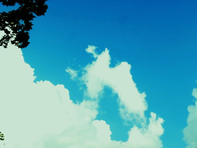 龍頭のような雲 ◆秋の雲