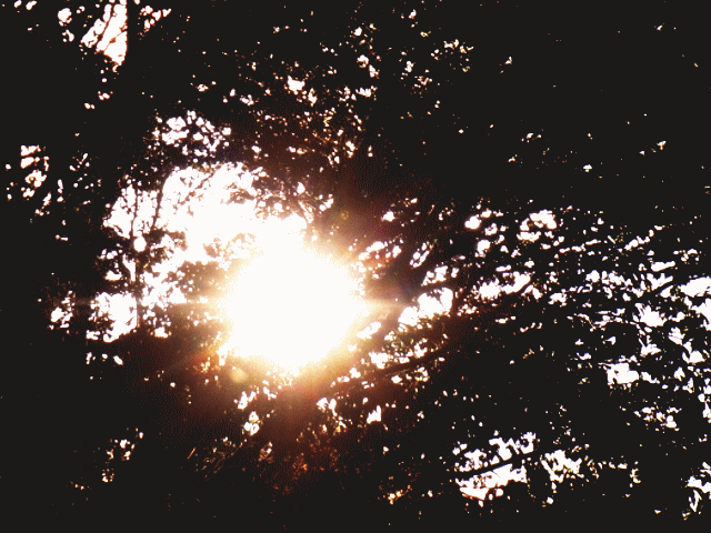 木洩れ日 ◆晩秋の雲