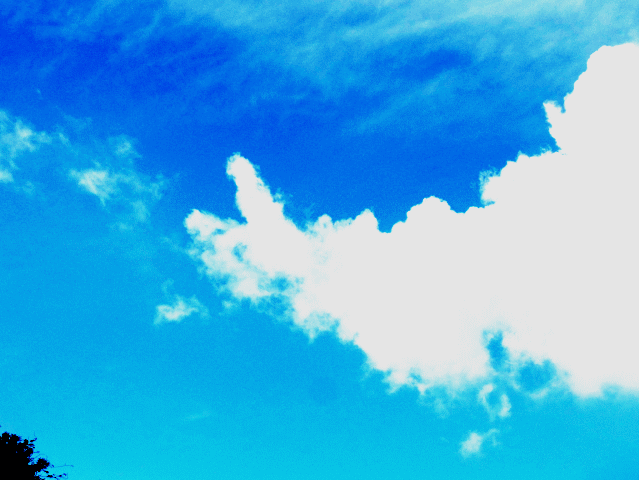 エビ（海老）フライ雲　　◆ 晩秋の雲