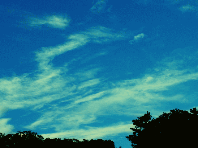 白い昇竜のような雲　◆晩秋の雲