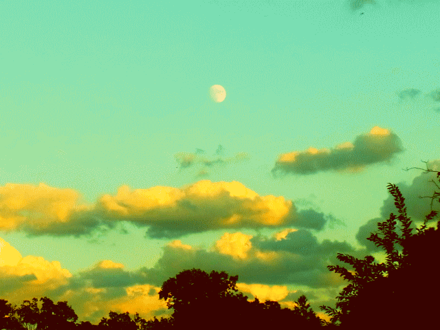 上弦を過ぎた丸みをおびた月。◆初冬の空