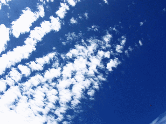 ６月の空と雲  鱗雲