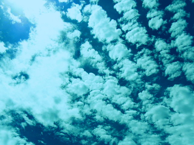 ６月の空と雲　大鱗雲