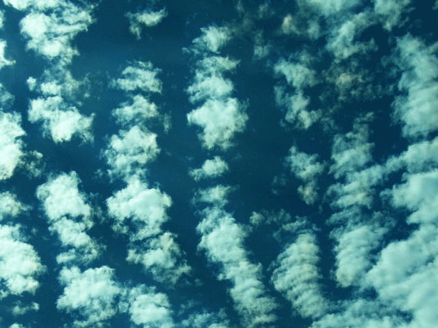 ６月の空と雲　大鱗雲