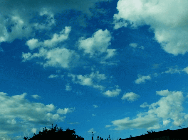 ８月の空と雲