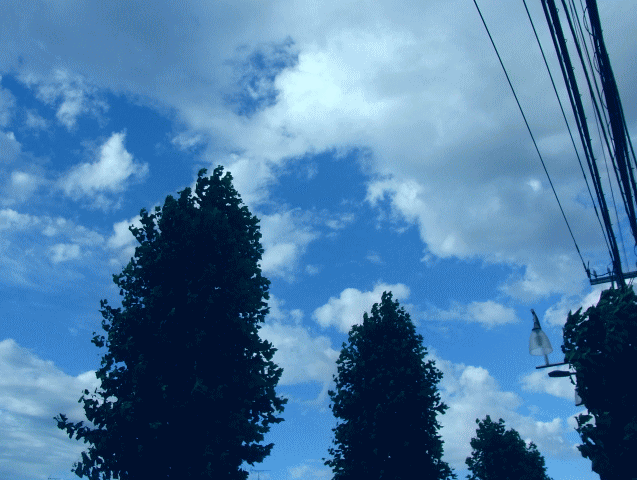８月の空と雲