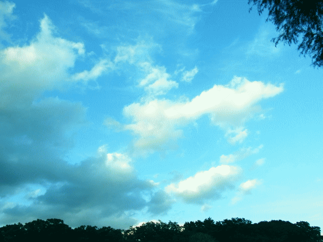 初秋の空と雲