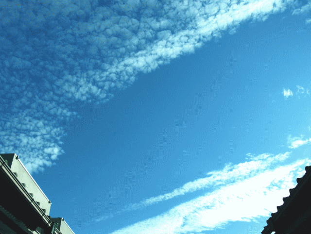 小さな鱗雲が集まった大きな雲   ◆冬の空