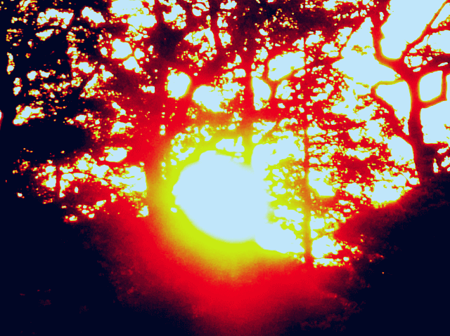 木洩れ日　 ◆早春の空